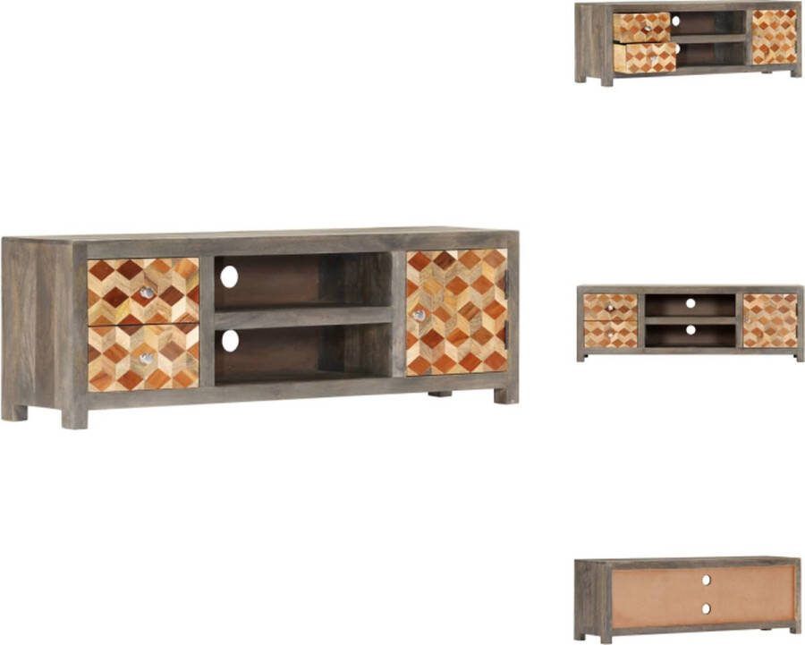 VidaXL TV-meubel Mangohout Grijs-Bruin 120x30x40cm Elegante opbergruimte met deur lades en vakken Kast