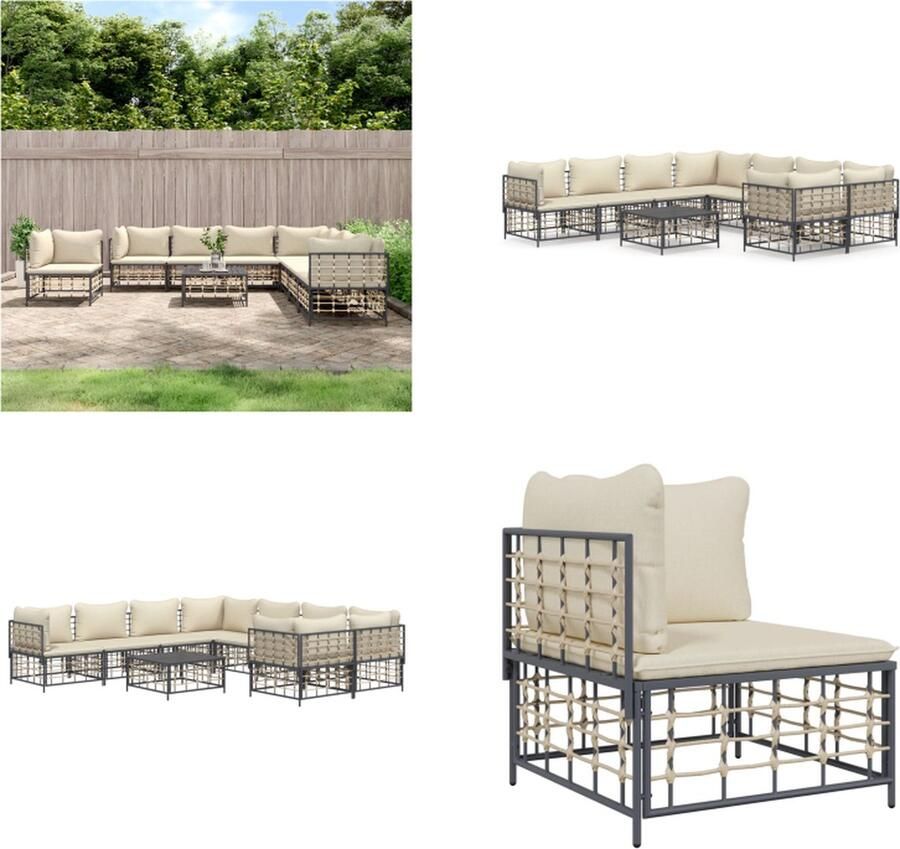 VidaXL 9-delige Loungeset met kussens poly rattan antracietkleurig Loungeset Loungesets Tuinset Tuinbank