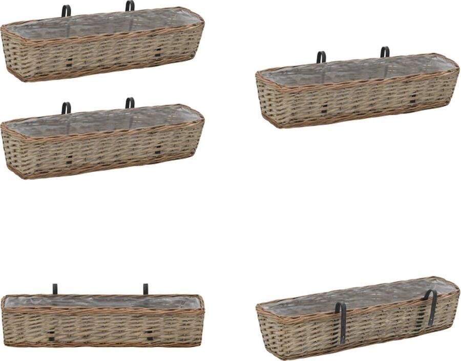 VidaXL Balkonbakken 2 st 80 cm wicker met PE-voering Balkonbak Balkonbakken Balkonplantenbak Balkonplantenbakken