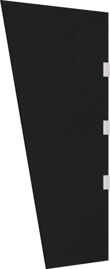 VidaXL -Zijpaneel-voor-deurluifel-50x100-cm-gehard-glas-zwart