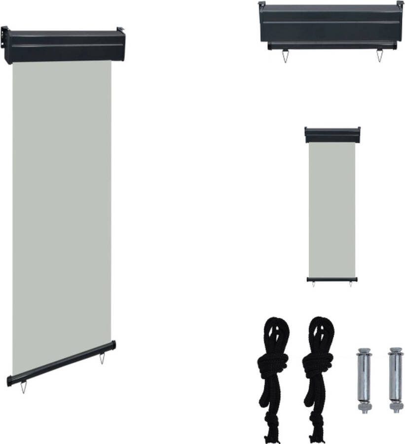 VidaXL Zonnescherm Verticaal 60 x 250 cm Grijs Uv- en Waterbestendig Automatisch Oprollen Parasol