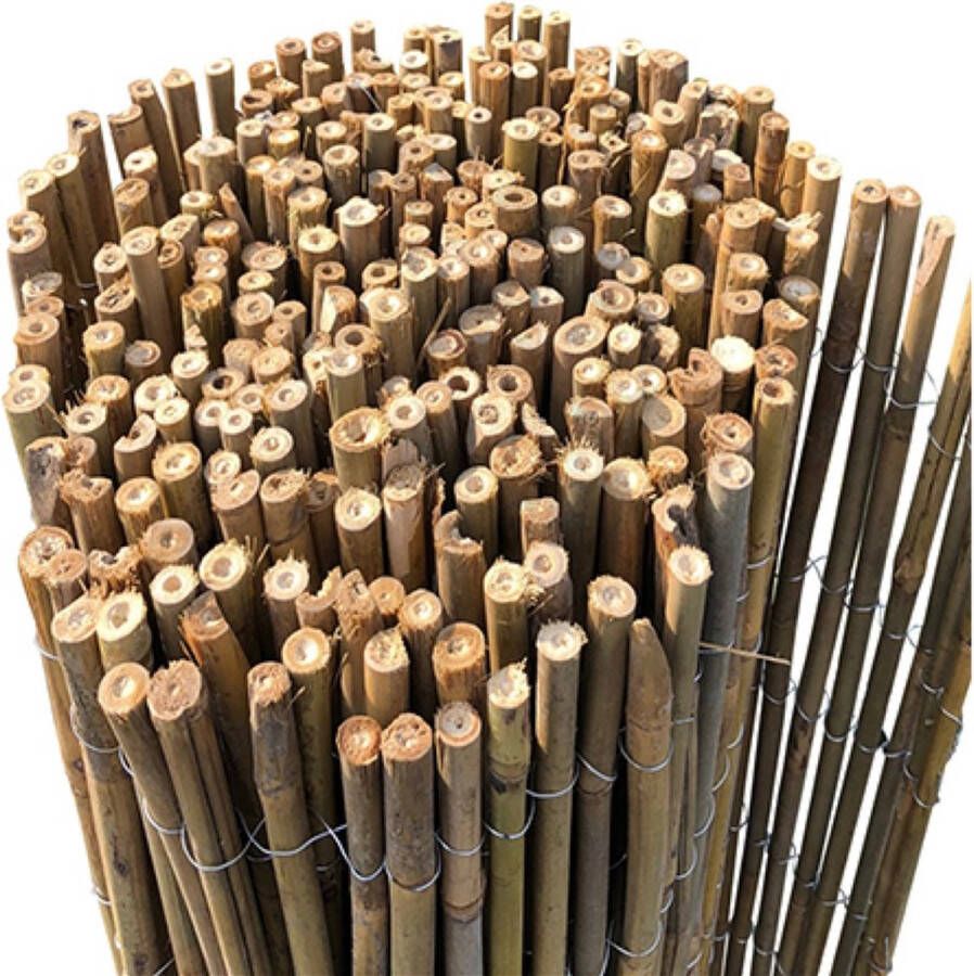 Videx Balkonscherm Bamboo HongKong 90x300cm