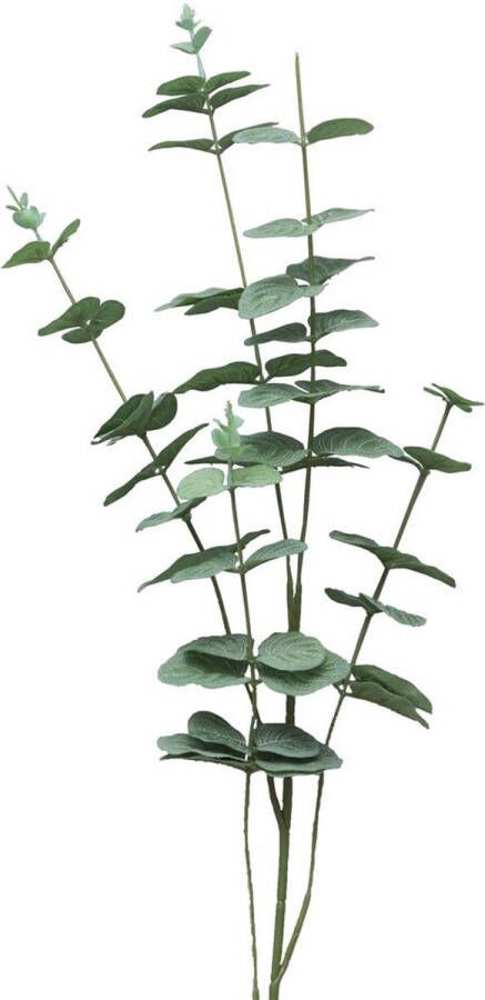 Villa Madelief Zijdebloem eucalyptus cinera Bloemen Synthetisch plastic 90 centimeter