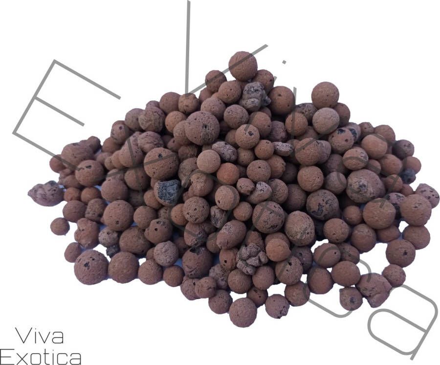 Viva Exotica Hydrokorrels 8 16 mm (5 L 1 6 kg)