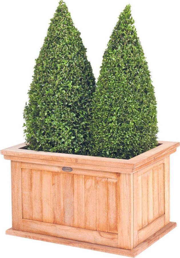 VKT Bloembak teak Flores (groot) L82xB58xH47 cm