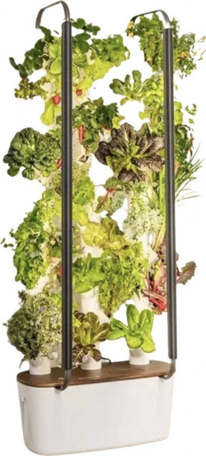 VORLOU Hydrocultuur Kweekkast Indoor Kas Binnentuin Groenten binnen kweken Indoor gardening Kweeksysteem