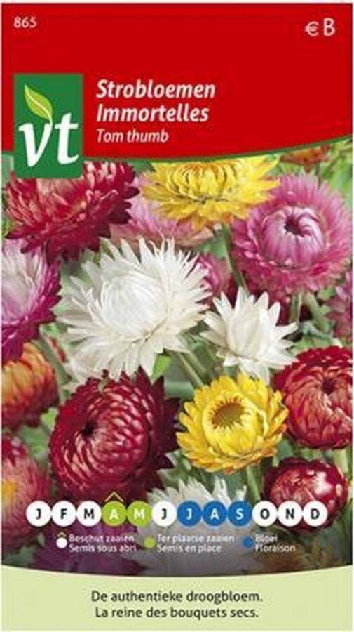 VT Strobloemen 'Tom Thumb' Zaden Kleurrijke Droogbloemen voor Decoratie