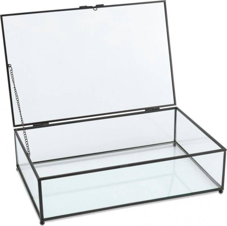 VT Wonen collectie VT wonen opbergbox glazen vitrine metaal glas zwart 21x33x9cm