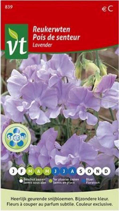 Vt zaden arborix Reukerwt Lavendel klimplant met heerlijk geurende en sierlijke bloemen