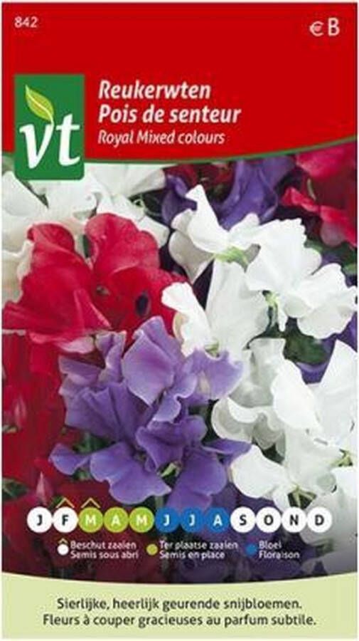 Vt zaden arborix Reukerwten Royal Mixed Colours klimplant met heerlijk geurende en sierlijke bloemen in gemengde kleuren