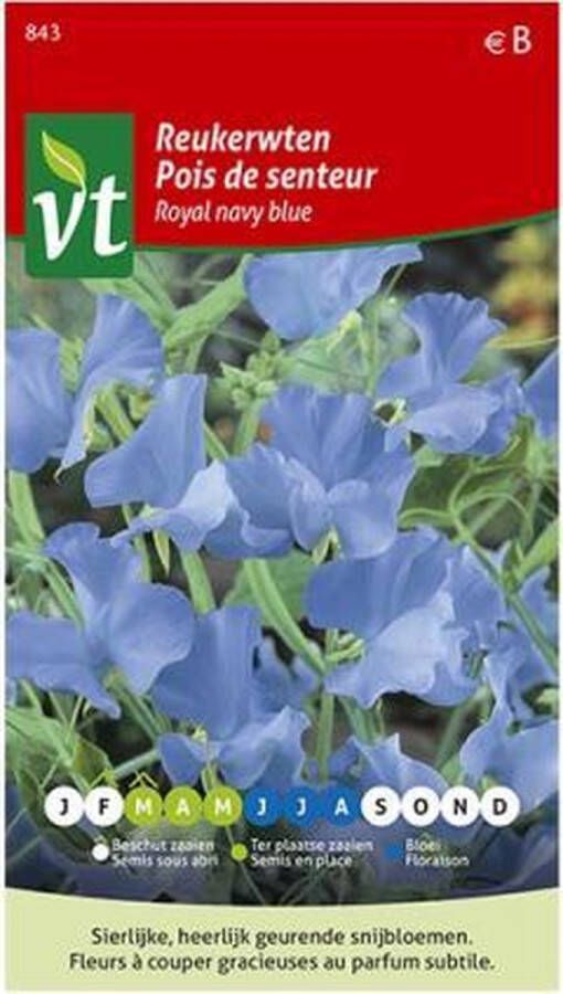 Vt zaden arborix Reukerwten Royal Navy Blue klimplant met heerlijk geurende en sierlijke bloemen