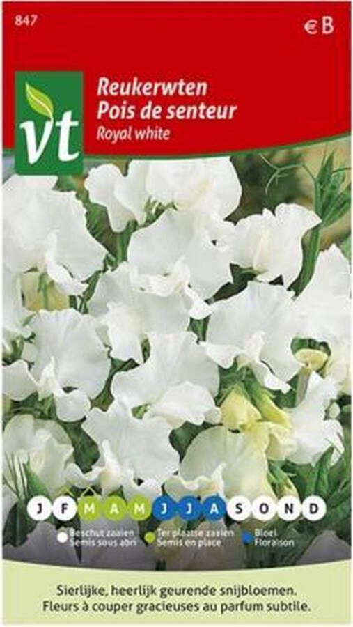 Vt zaden arborix Reukerwten Royal White klimplant met heerlijk geurende en sierlijke bloemen