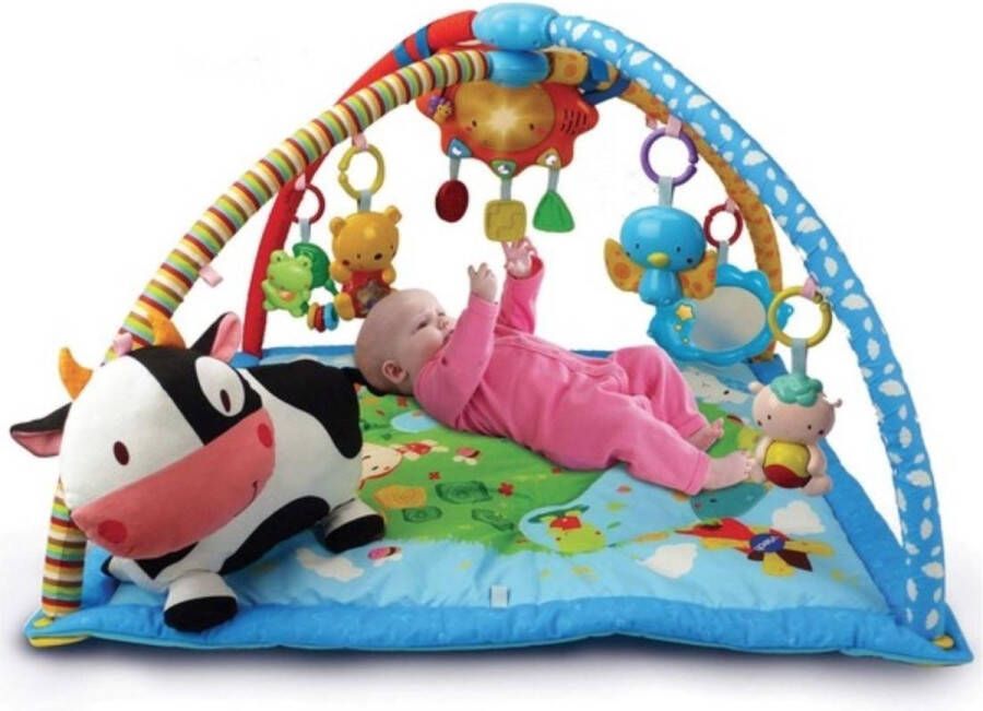 VTech Activiteitenboog voor baby's deken 2 in 1 Music Discovery Gym babyspeelgoed babygym