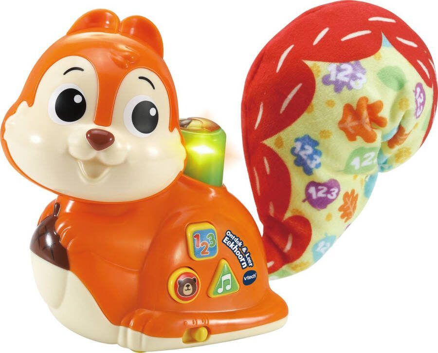 VTech Baby Ontdek & Leer Eekhoorn Educatief Speelgoed Cijfers Tellen en Muziek Van 9 tot 36 Maanden