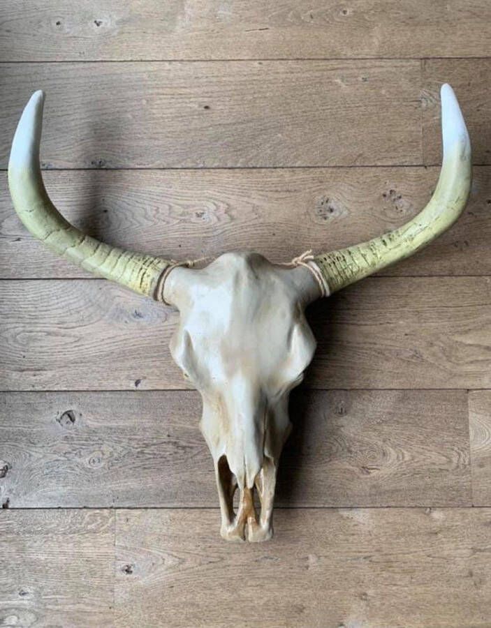 Vtw Living Skull Decoratie Buffelschedel Muurdecoratie Wanddecoratie Gewei 74 cm breed