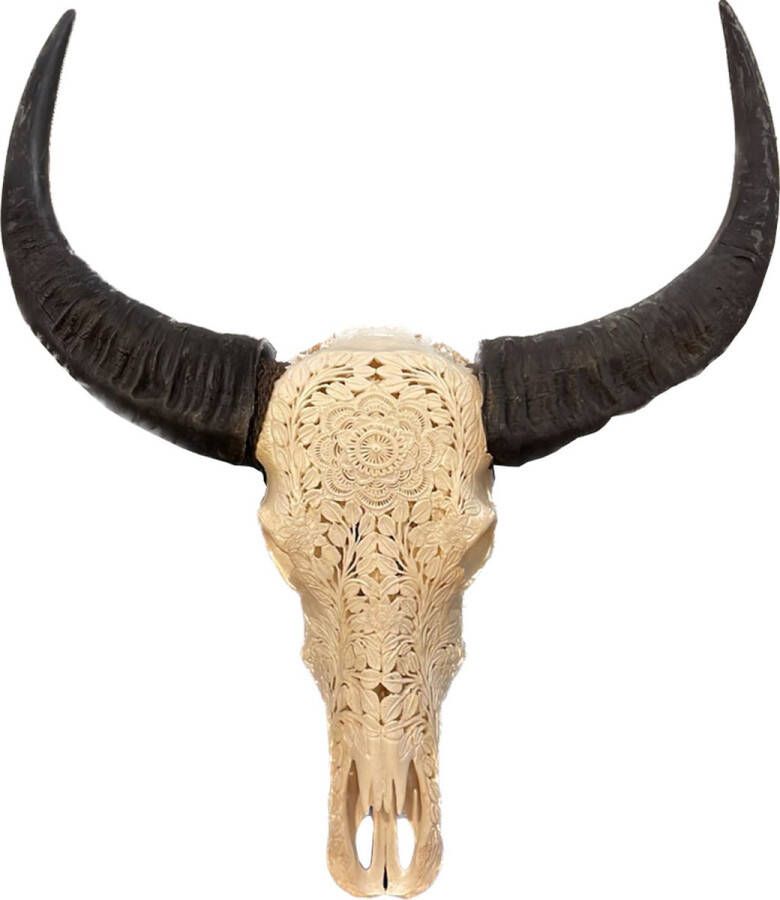 Vtw Living Skull Gegraveerd Buffelschedel Longhoorn Wanddecoratie 65 cm