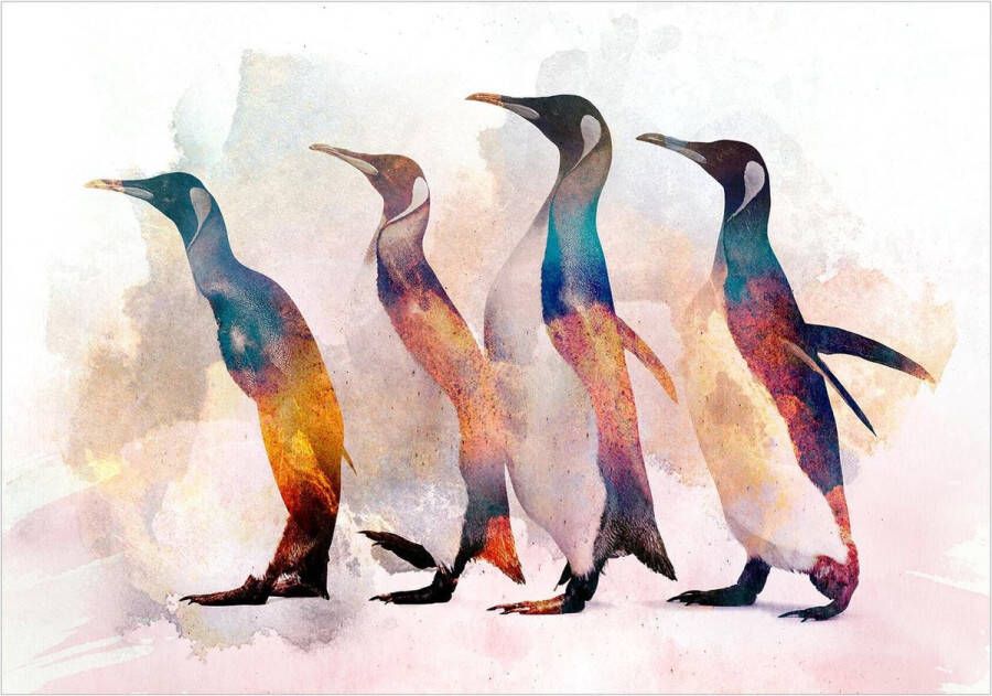 Wallmagic.eu Fotobehang Penguin Wandering