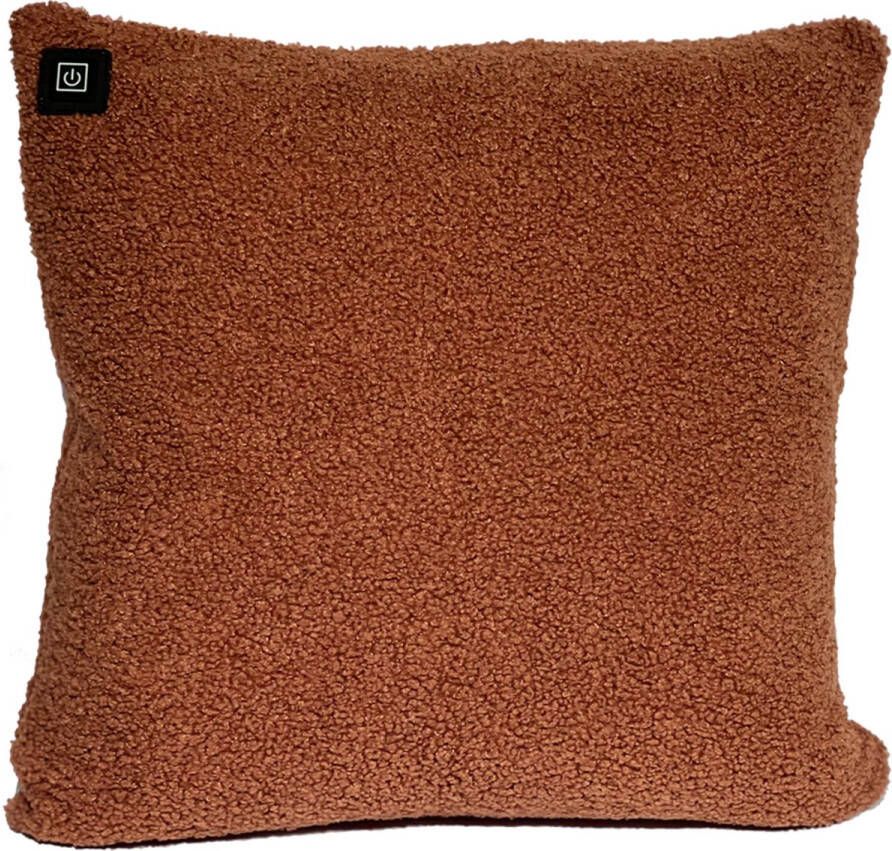 Warmpi Draadloos Warmtekussen incl. Powerbank (10.000mah) Teddy Bruin Het elektrisch verwarmde kussen heeft ook kabel van 3m voor opwarming via stopcontact of USB Poort 3 warmtestanden Afmeting 45x45 cm Zachte Teddy stof