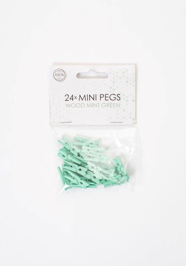 We Fiesta 72 Mini houten knijpers Mint Groen Feest Thema Polaroid Foto Ophangen Klein Knijper