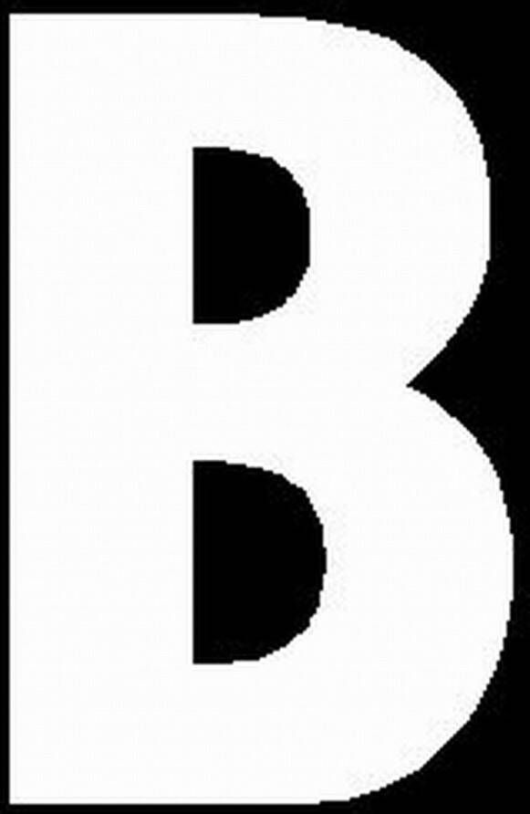 WEBCO Lettersticker B WIT 10x5cm plakletter huisnummersticker toevoeging huisnummer