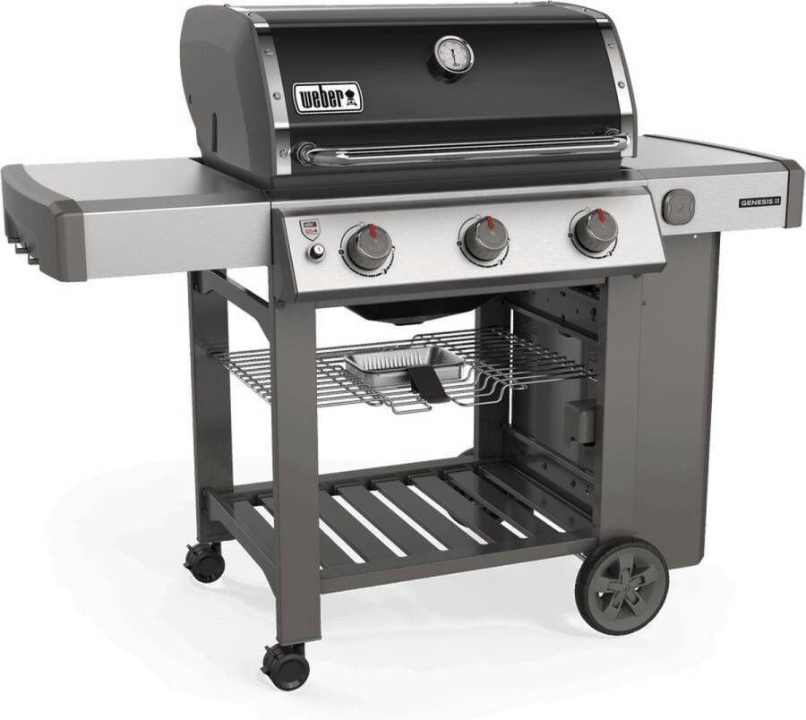 Weber Genesis II E-310™ GBS™