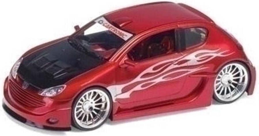 Welly Peugeot 206 Maxi-Tuner widebody 1:24