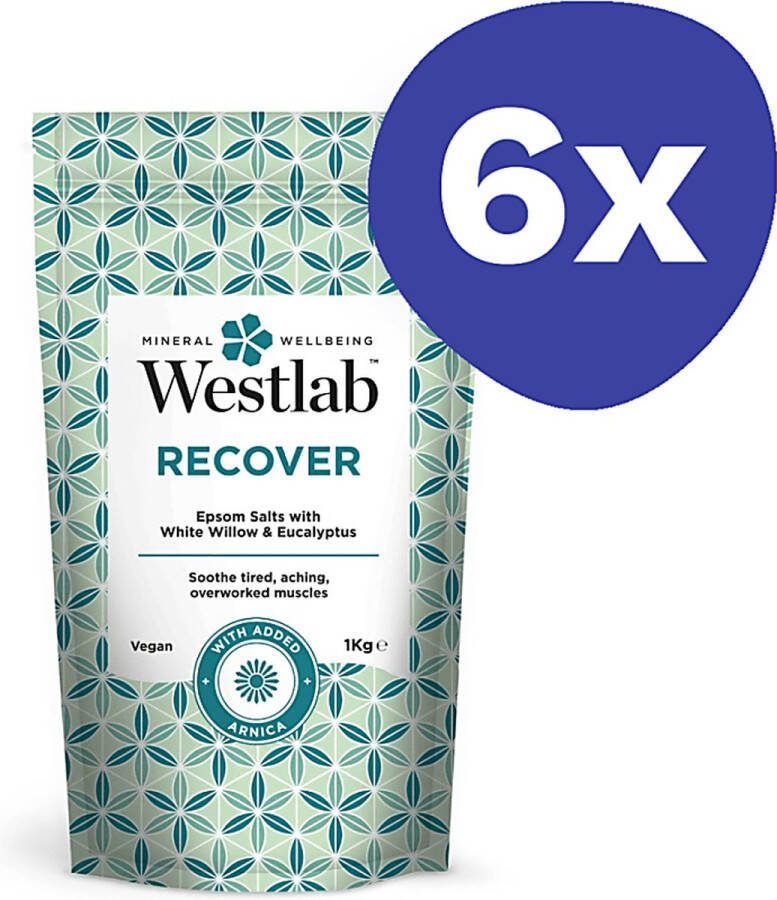 Westlab Recover Badzout (6x 1kg)