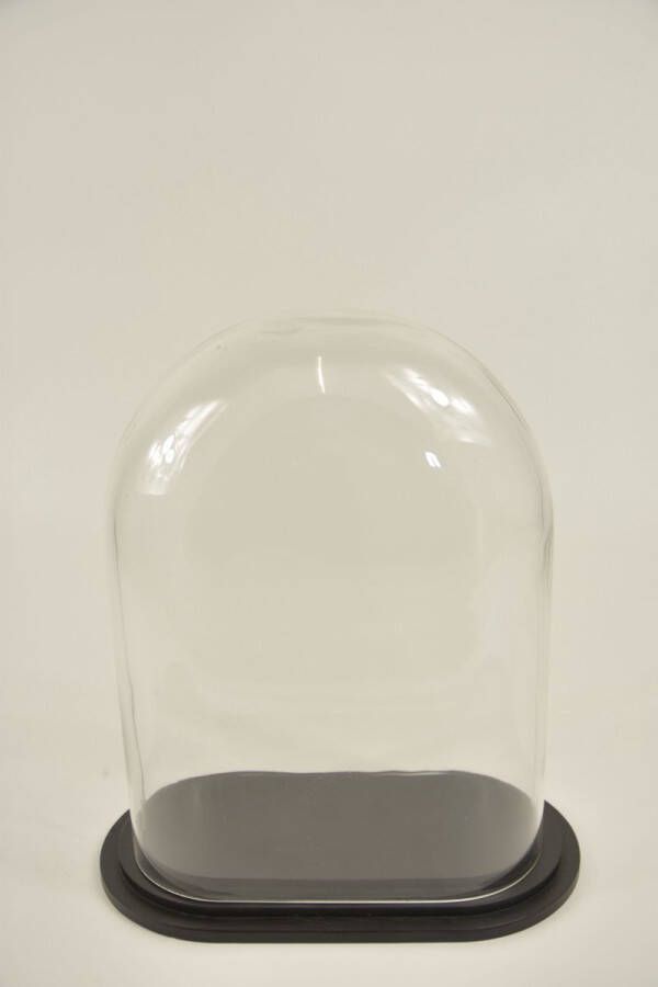Wiljan Stolp ovaal L helder glas 24x12 5x30cm zwart houten plateau