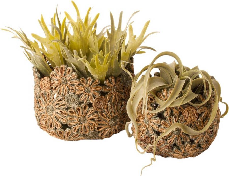 WinQ! WinQ Mand set 2 stuks Abaca Bloem diameter 24cm en 17 cm Kleur stone Decoratiemand- Fruitmand- broodmand