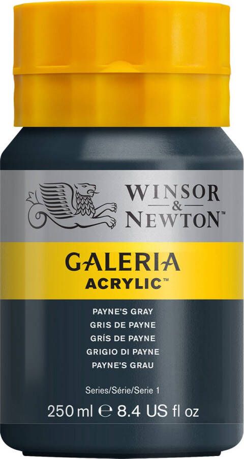 Winsor & Newton Galeria Acrylverf 250ml Paynes Gray