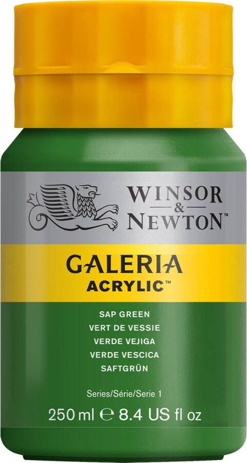 Winsor & Newton Galeria Acrylverf 250ml Sap Green