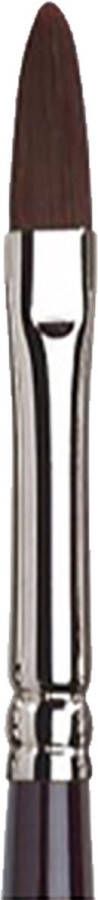 Winsor & Newton Galeria Acrylverf Penseel kattentong vorm lange steel No. 4 kwast 6mm