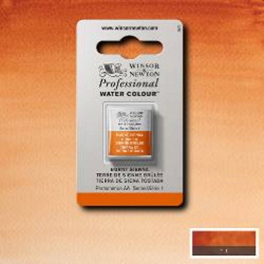 Winsor & Newton Professionele Aquarelverf Halve nap Burnt Sienna