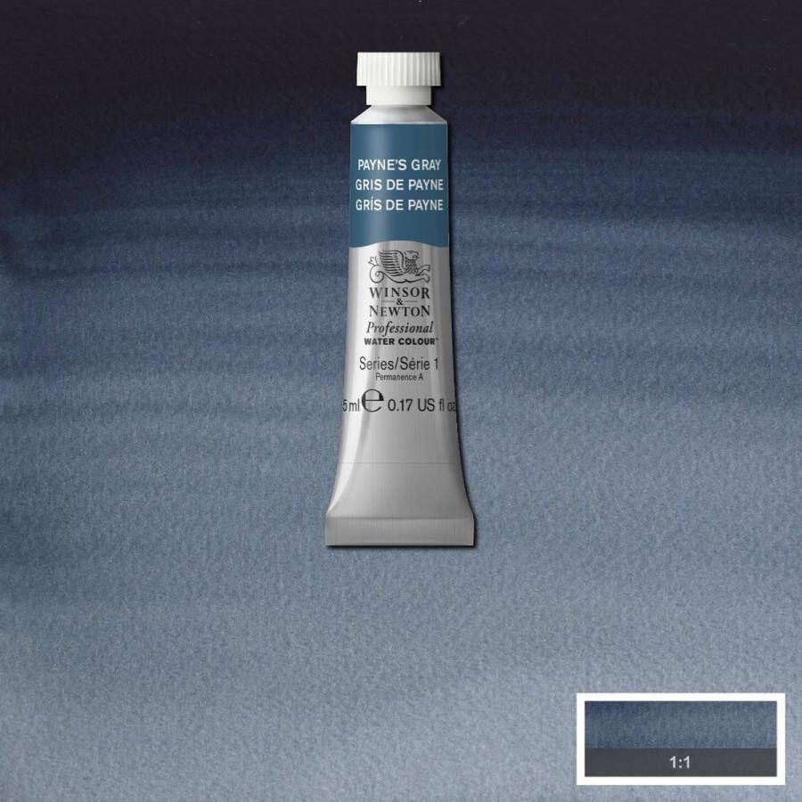 Winsor & Newton W&N Professional Aquarelverf 5ml Payne's Gray