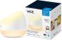 WiZ Squire Tafellamp Slimme LED verlichting Gekleurd en Wit Licht Wi-Fi Transparant - Thumbnail 1