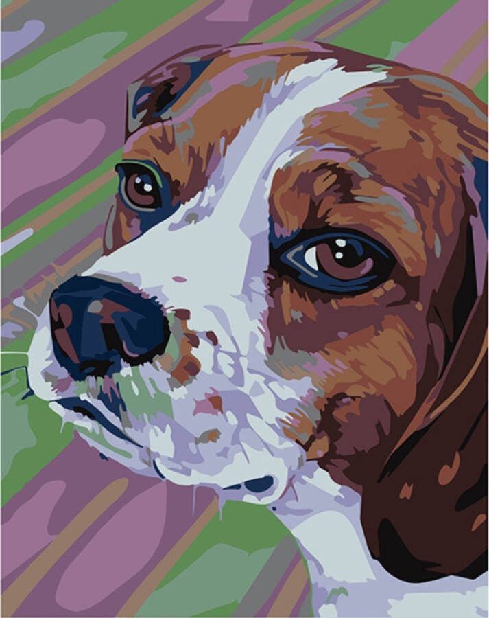 Wizardi Schilderen op Nummer Beagle 16 5x13 cm