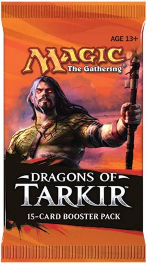 Wizards of the Coast Dragons Of Tarkir Booster pack
