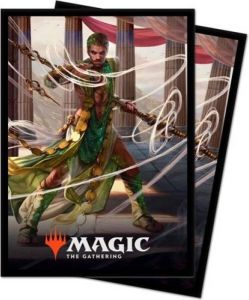 Wizards of the Coast Magic the Gathering TCG Theros Beyond Death Deck Protector Sleeves V2