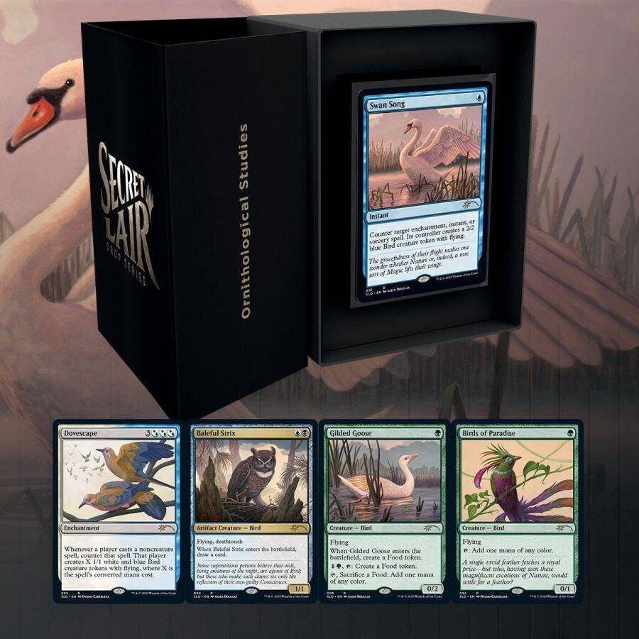 Wizards of the Coast MtG Secret Lair: Ornithological Studies