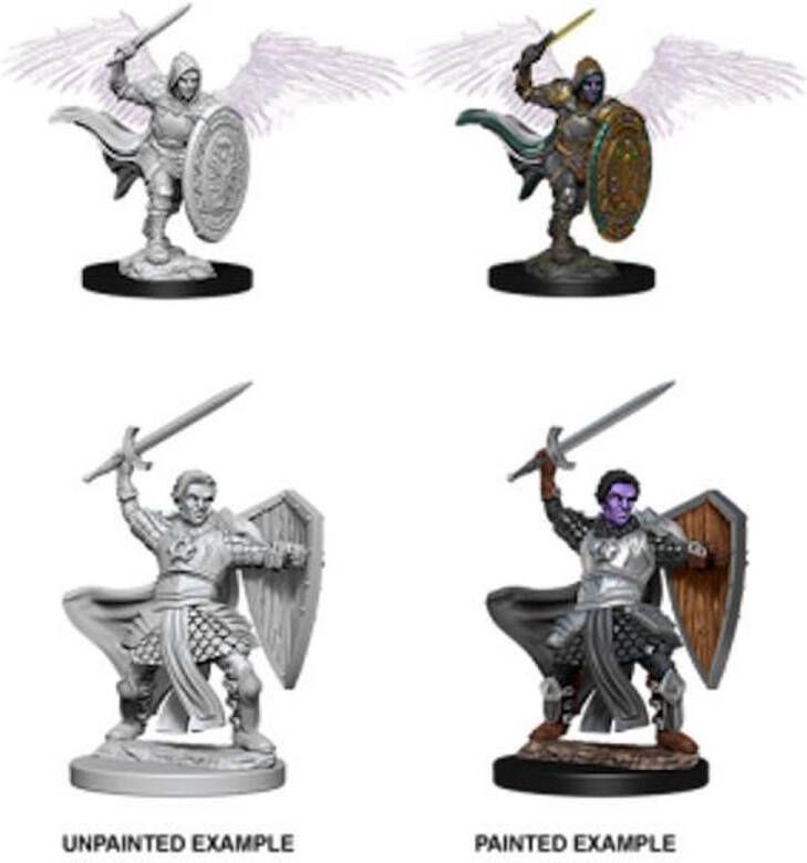 Wizkids D&D Nolzur's Marvelous Miniatures Aasimar Paladin Male