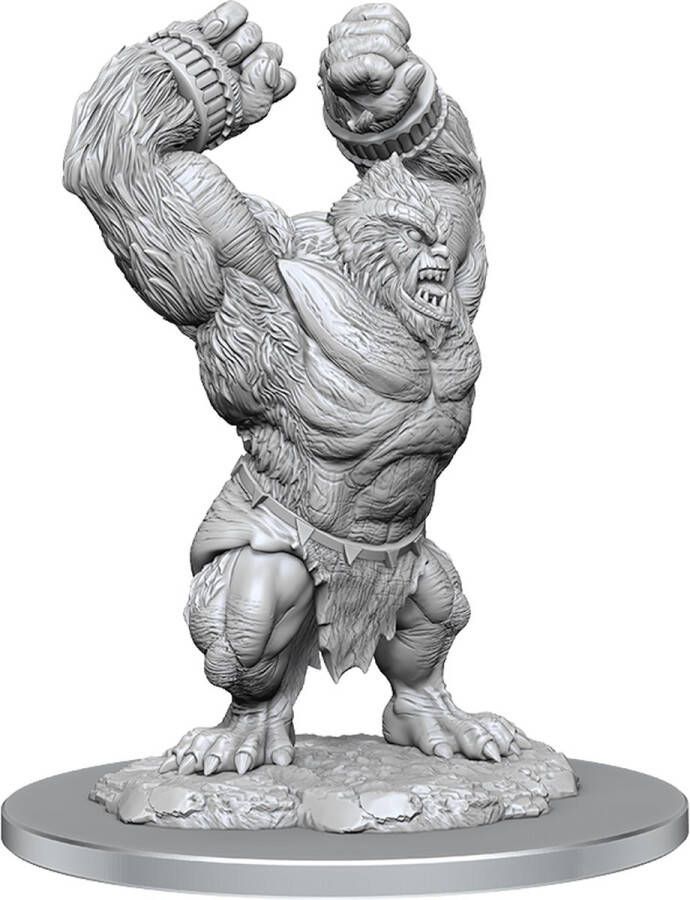Wizkids D&D Nolzur's Marvelous Miniatures Barlgura