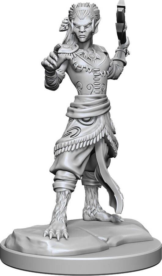 Wizkids D&D Nolzur's Marvelous Miniatures Shifter Fighter