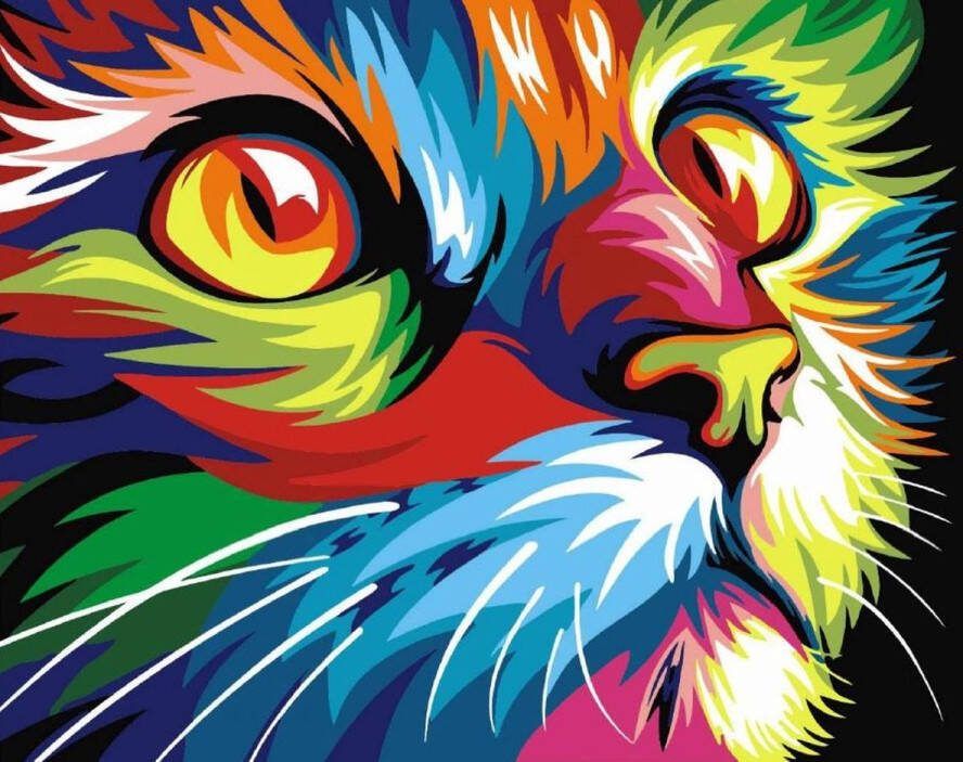 Wonderplay Diamond painting Diamond painting volwassenen Diamond painting pakket volledig kleurrijke kat 30x40cm ronde steentjes