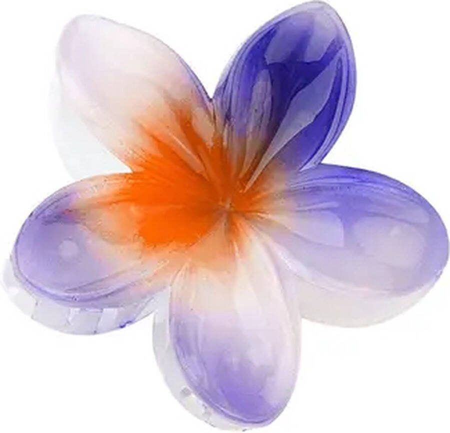 Wonders at Home Official Haarklem Bloem Paars Geel Wit Hairclip Hawai Purple Yellow White