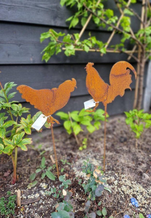 Wonders at Home Official Tuinstekers Haan en Kip Set van 2 Cortenstaal Roest Tuindecoratie Metalen Plug Cock & Hen 60cm