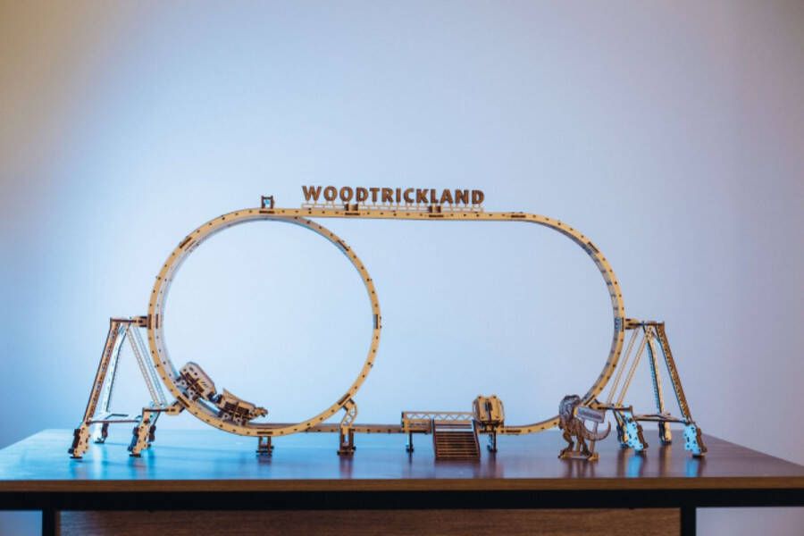 Wood Trick Modelbouw 3D houten puzzel Ride ('Achtbaan') 554 stuks Geen lijm of verf nodig!