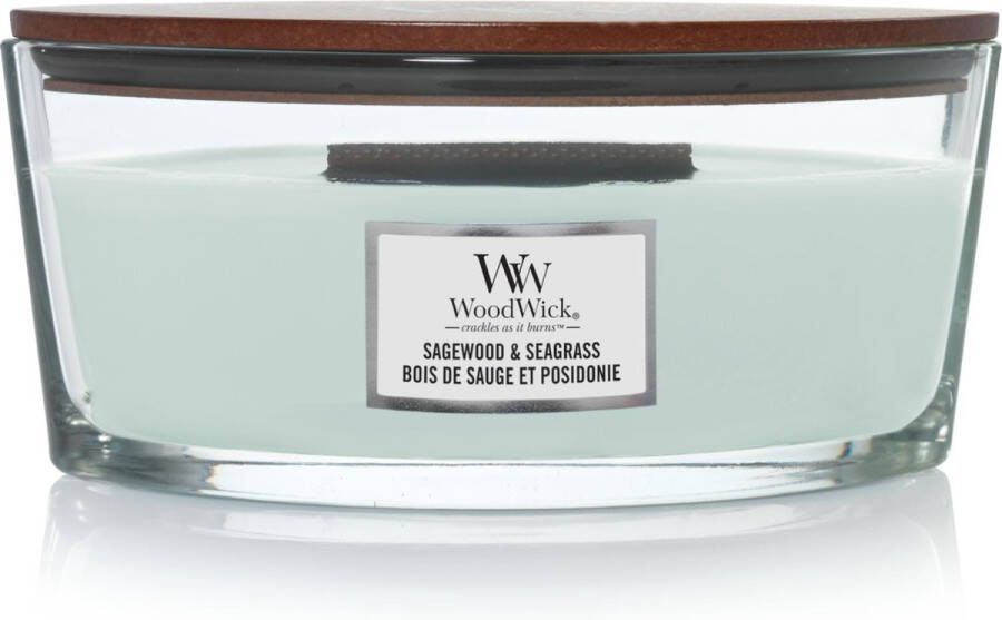 Woodwick Geurkaars Ellipse Sagewood & Seagrass 9 cm 19 cm