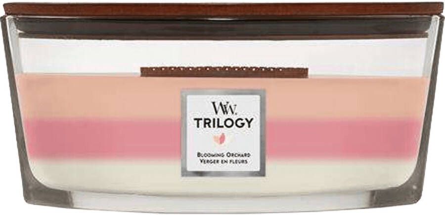 Woodwick Trilogy Blooming Orchard Ellipse Candle Geurkaars