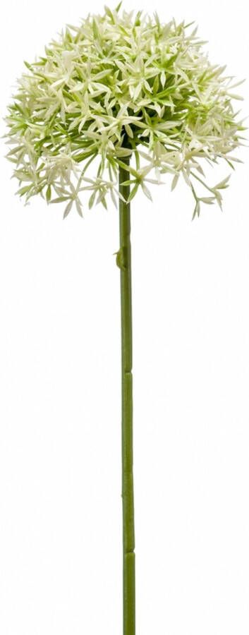 Woonexpress Kunstbloem Allium Groen Polyester Creme 62x0x0cm (hxbxd)