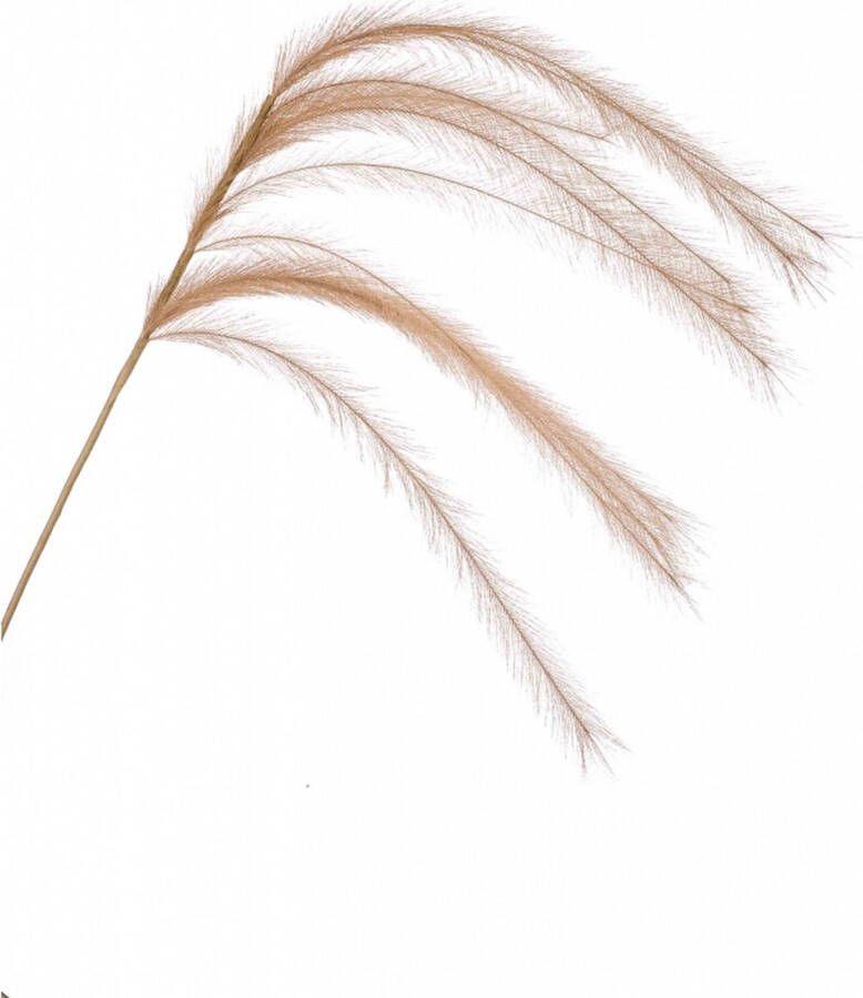 Woonexpress Kunstbloem Feather Naturel Polyester Beige 135x0x0cm (hxbxd)